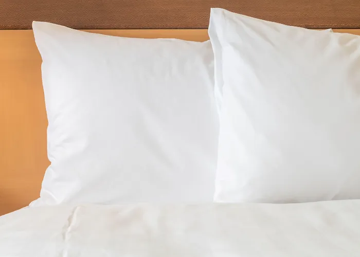 Express Centre By Ihg Hotel 3*